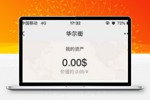 两个版本白色MAX趣投币圈源码打包 内附安装教程